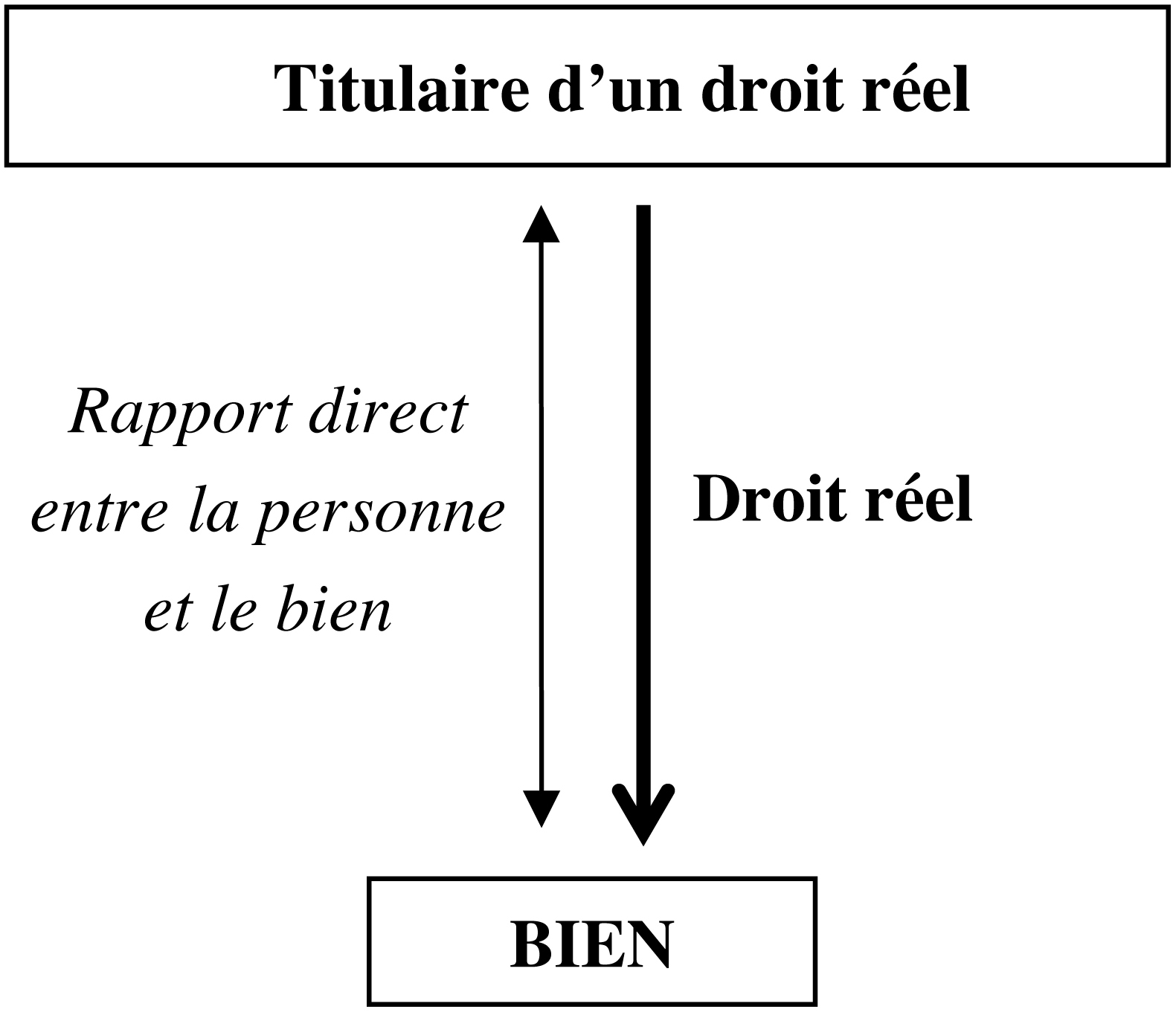 [Image image01]