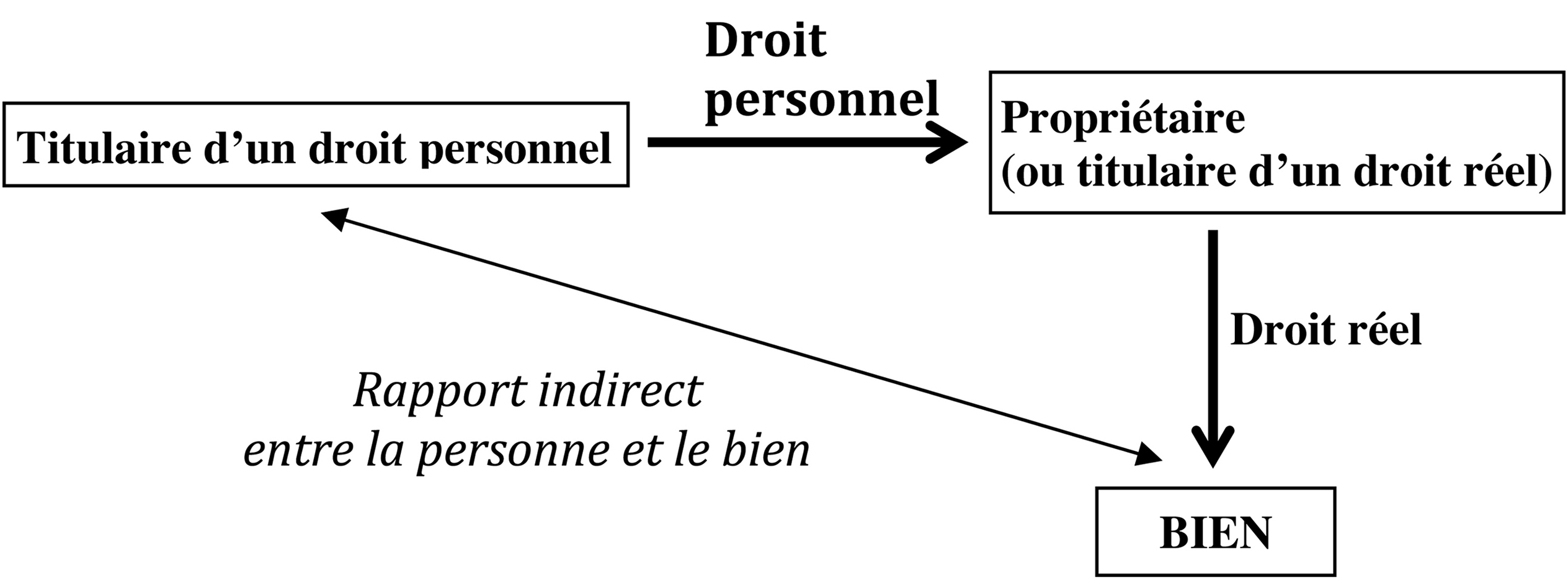 [Image image02]