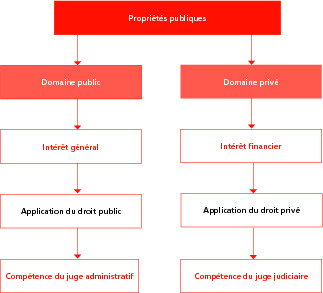 [Image image02]