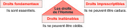 [Image image02]